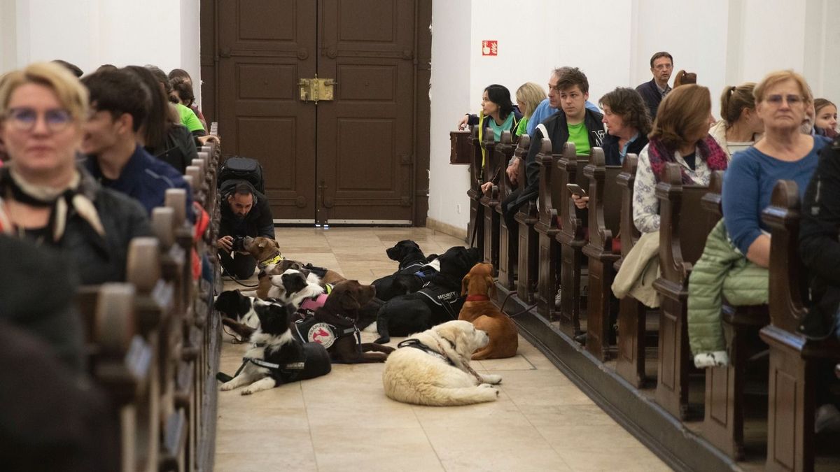 Paralimpikonokkal és négylábú hősökkel telt meg a Nagytemplom az Állatok Világnapján Debrecenben