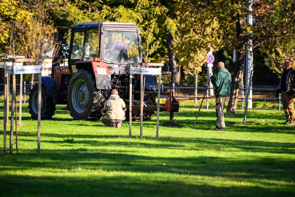 Debrecenben megkezdődik a várva várt Lehel utcai kutyafuttató építése