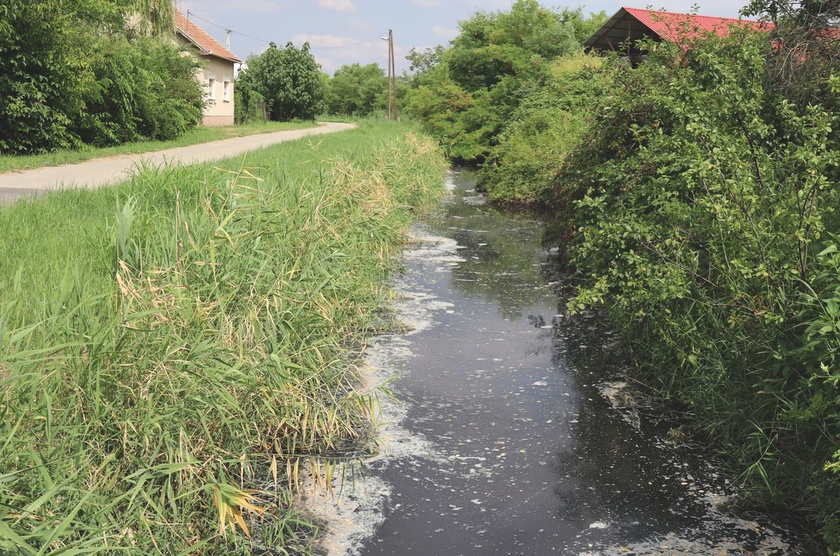 Dolgoznak majd a nagyhegyesi telepen, a szennyvizet a a Pece-érbe vezetik
