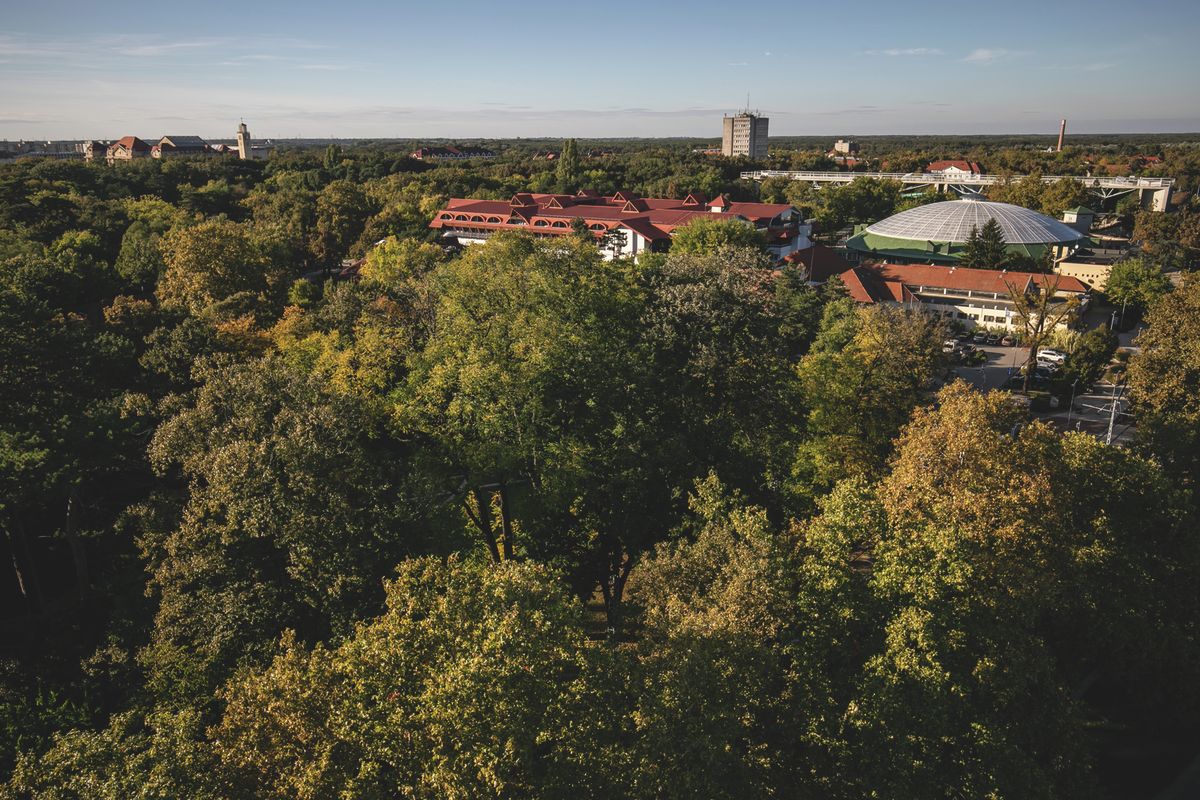 Kellemes őszi időt tartogat a vasárnapi időjárás