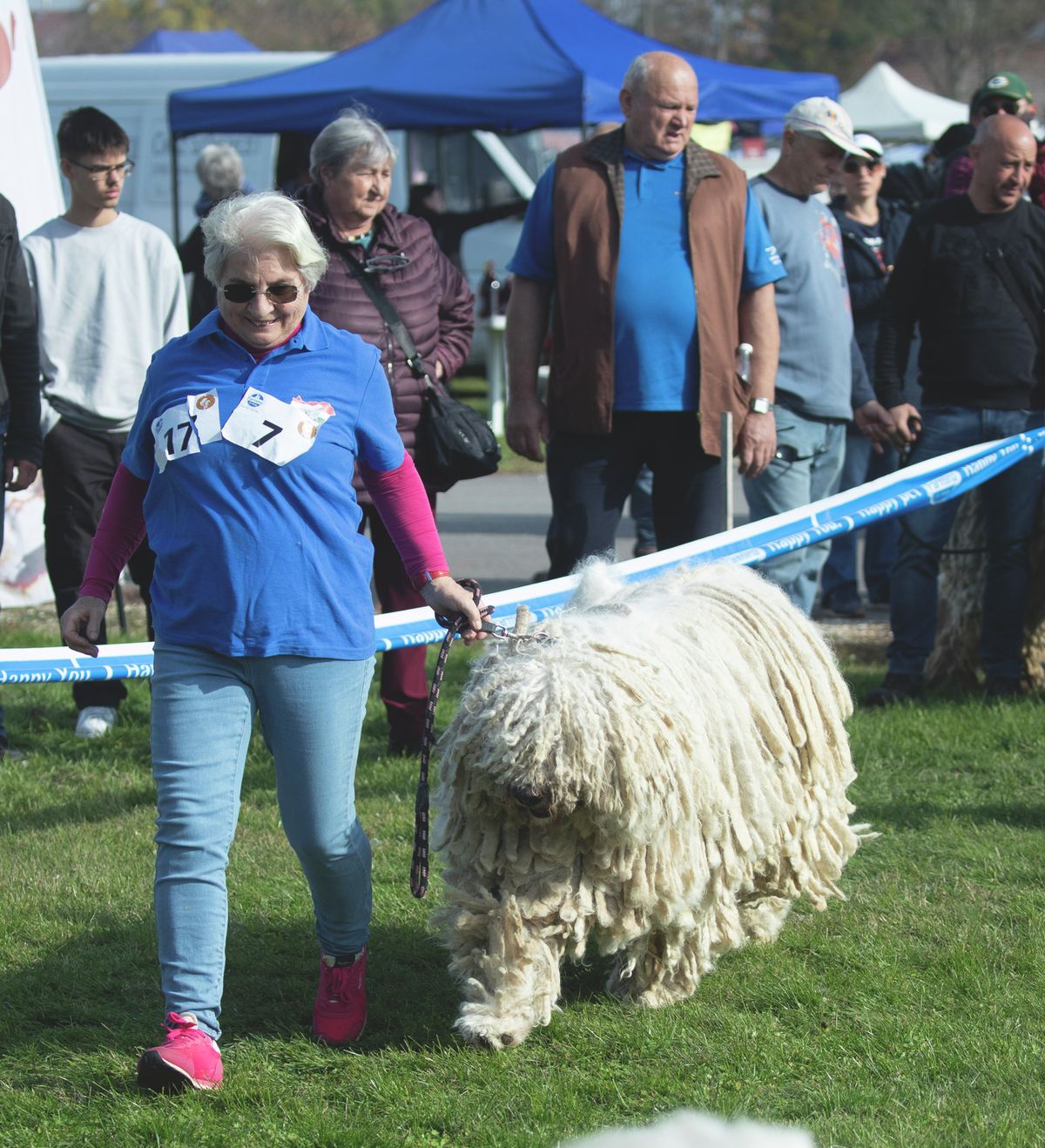 komondor fesztivál, hortobágy, haon, debrecen