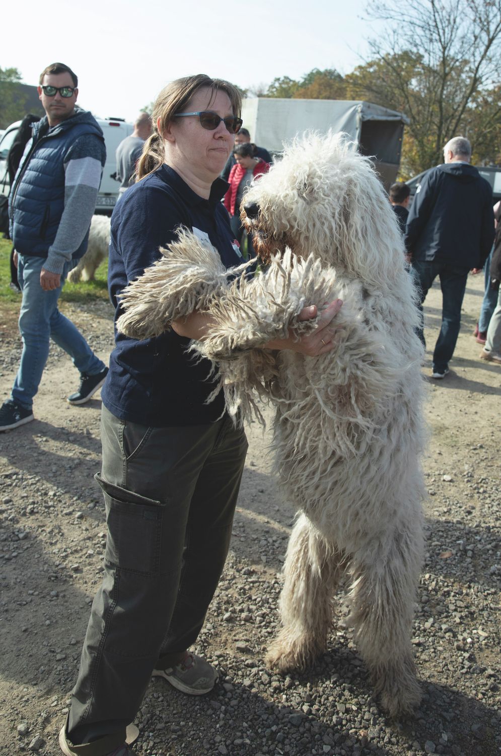 komondor fesztivál, hortobágy, haon, debrecen