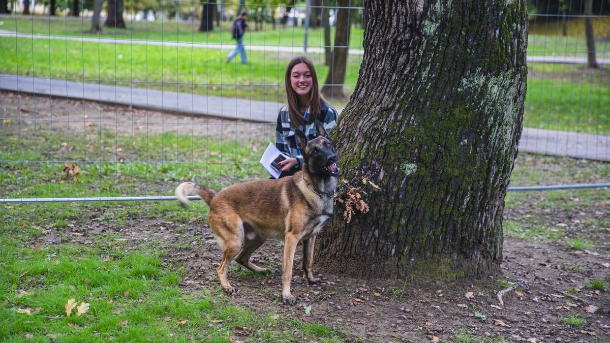 Négylábú hősök is bemutatkoztak a Hello Szakma! fesztiválon Debrecenben
