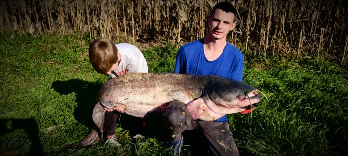 Óriási harcsát fogtak a Látóképen Gallai Krisztiánék