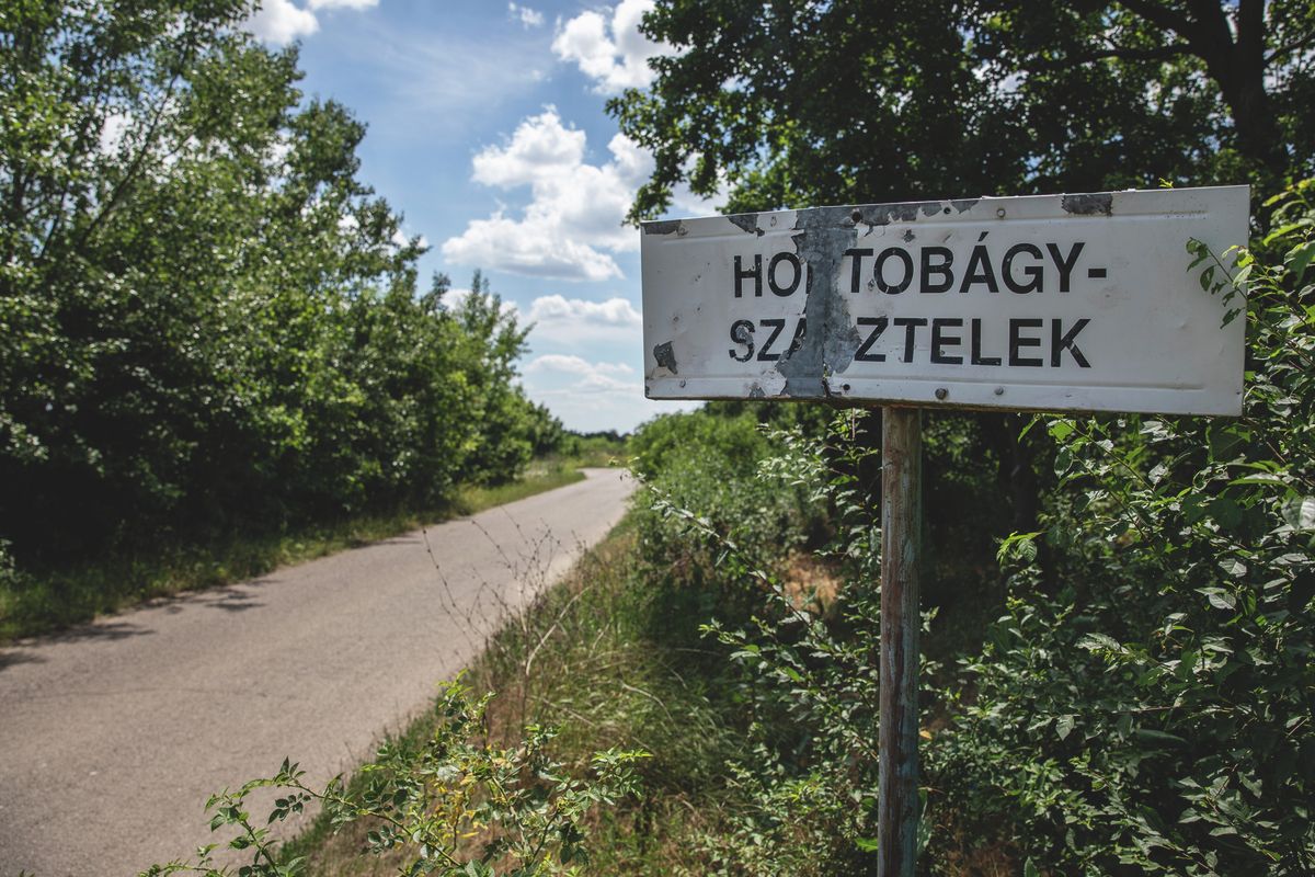  14 hektárt sikerült bérbe vennie egy magánembertől Szászteleken