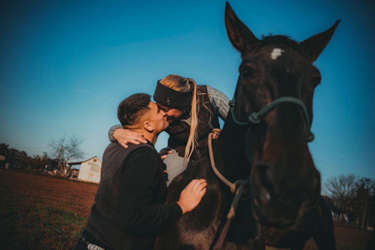 Varga Judit (Csuti) és Kiss Lajos mindene a nóniusz lovak