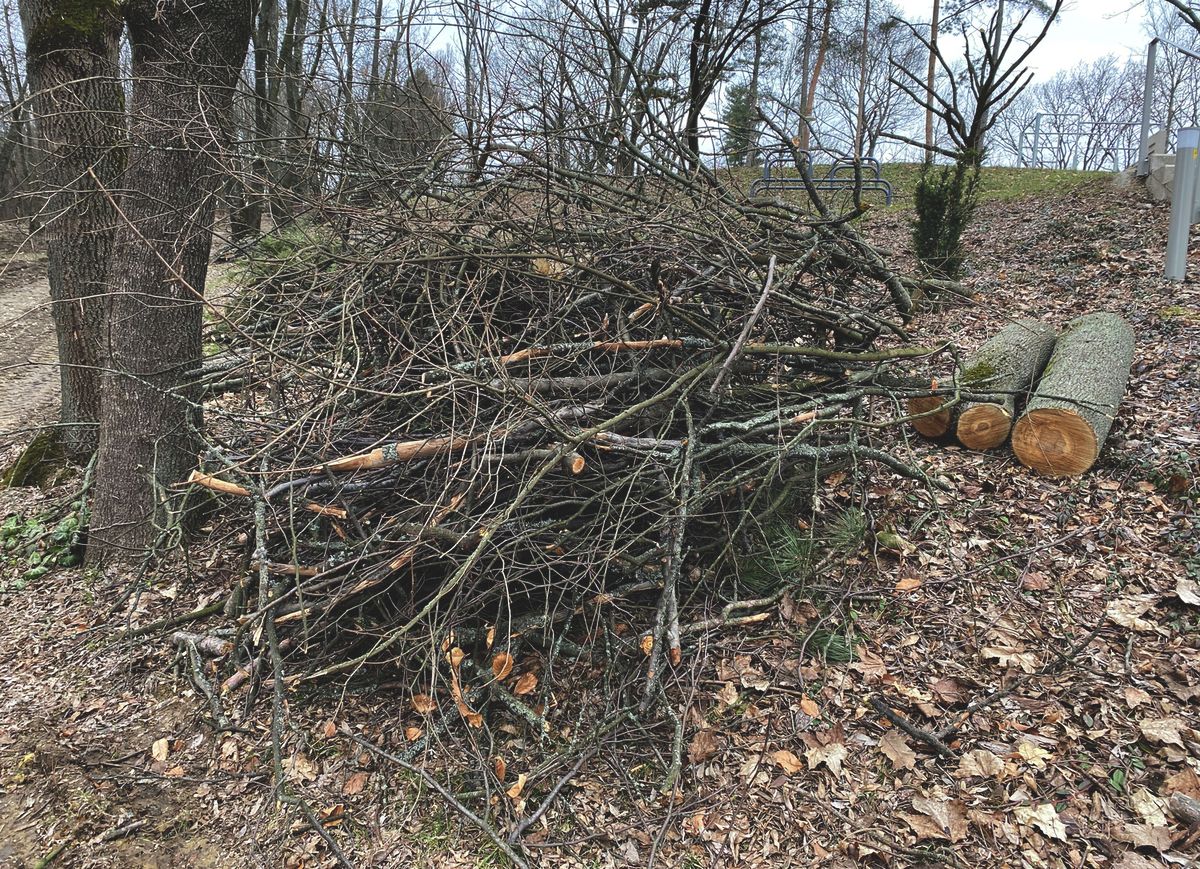 Kabán begyűjtik a gallyakat