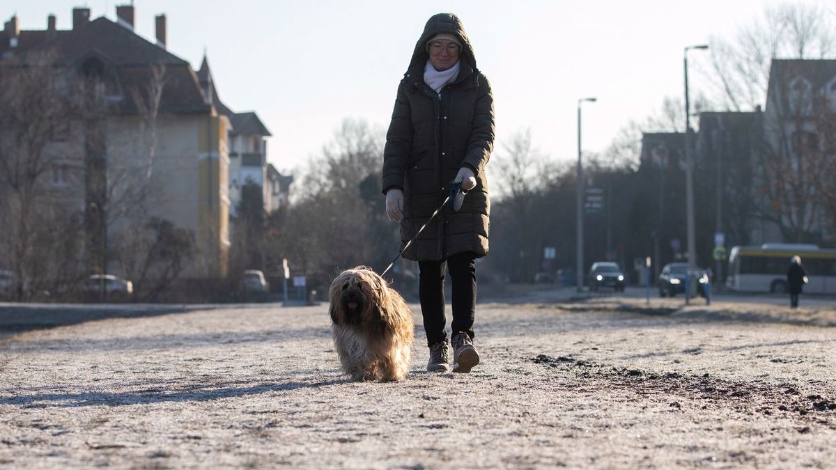 Még most sem volt kegyes az időjárás, de a reggeli séta így sem maradhat el