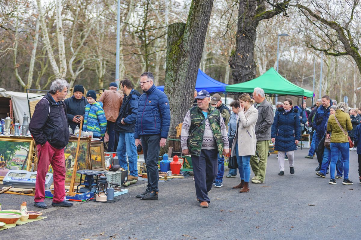 Kiváló program volt a Debreceni Régiségvásár