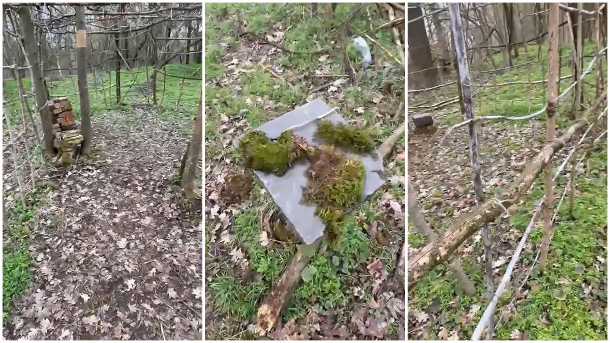 Boszorkányság vagy különös véletlen az erdő mélyén megbúvó építmény?