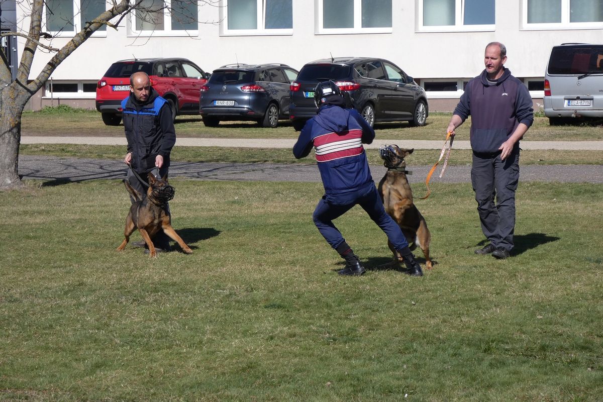 Tanulmányi úton vettek részt a nyíradonyi rendésznövendékek, interaktív bemutatót is tartottak nekik a rendőrség munkatársai