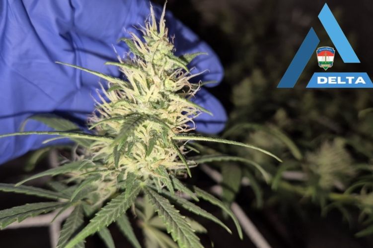 Az autó átvizsgálása során cannabist és amfetamingyanús anyagokat találtak a rendőrök