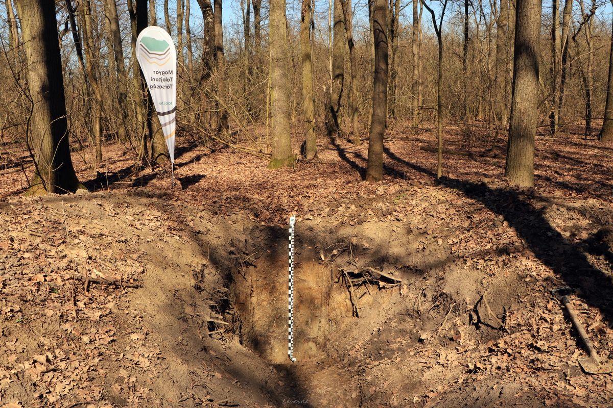 A püspökladányi arborétumban található Réti talaj