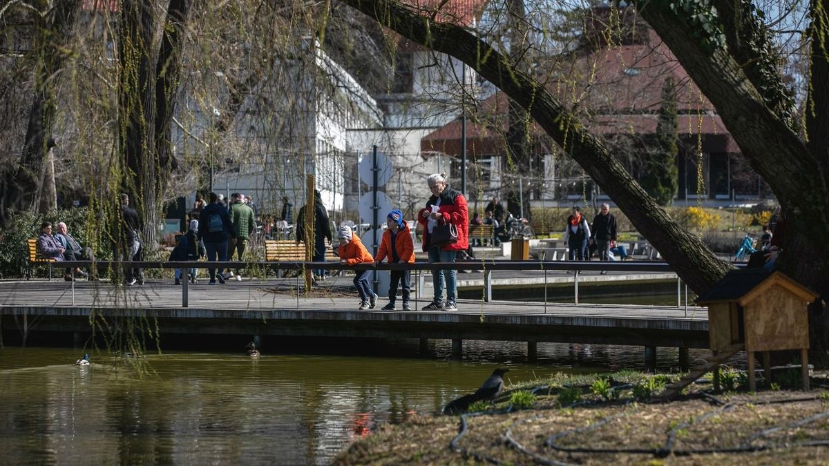 A jó időnek köszönhetően rengetegen kilátogatnak a Nagyerdőre