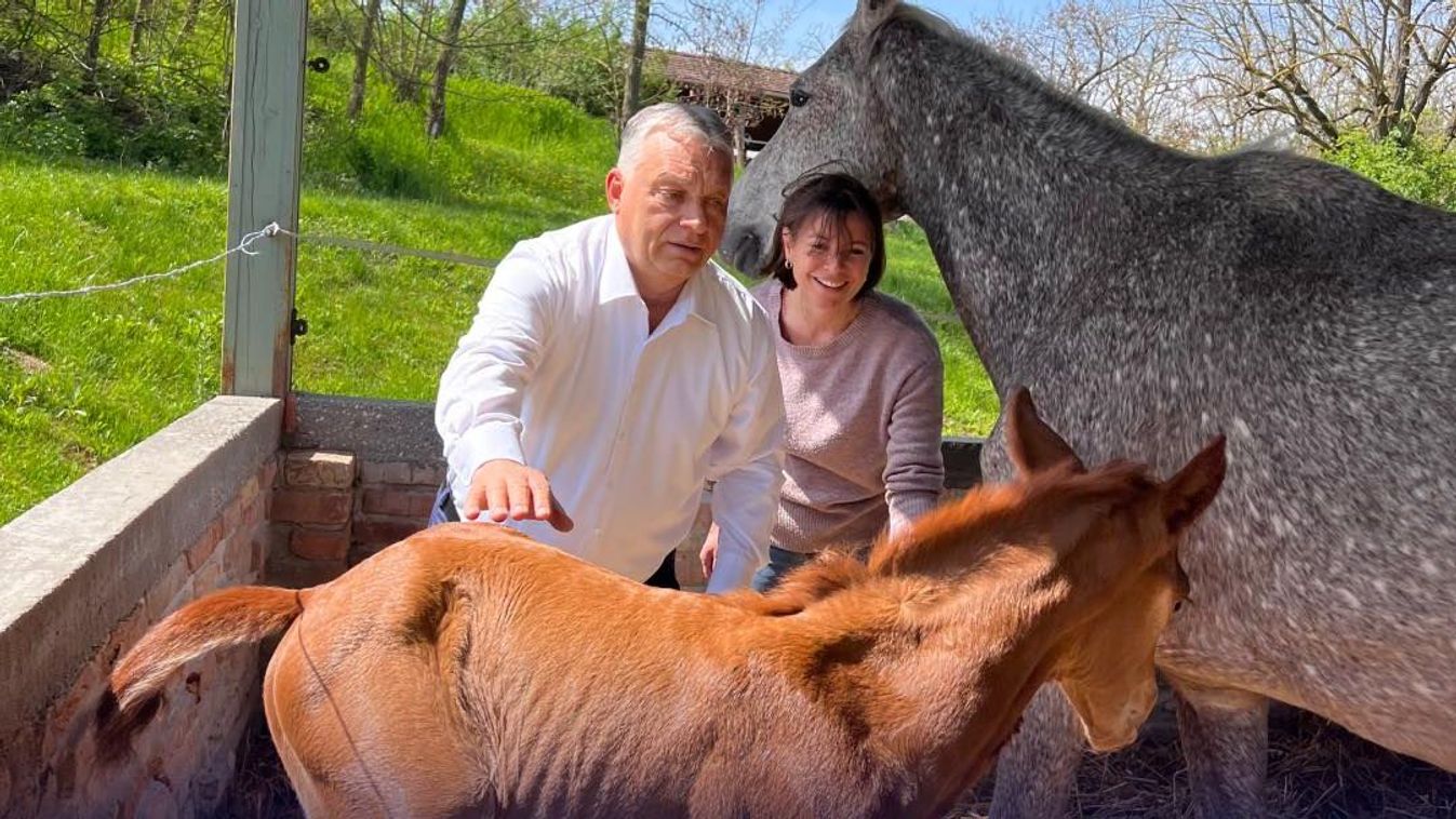 Orbán Viktor: Mert az élet az úr