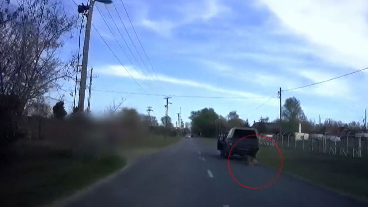 Döbbenetes állatkínzás! – terepjárójával húzta az úton a láncra kötött kutyáját egy debreceni férfi