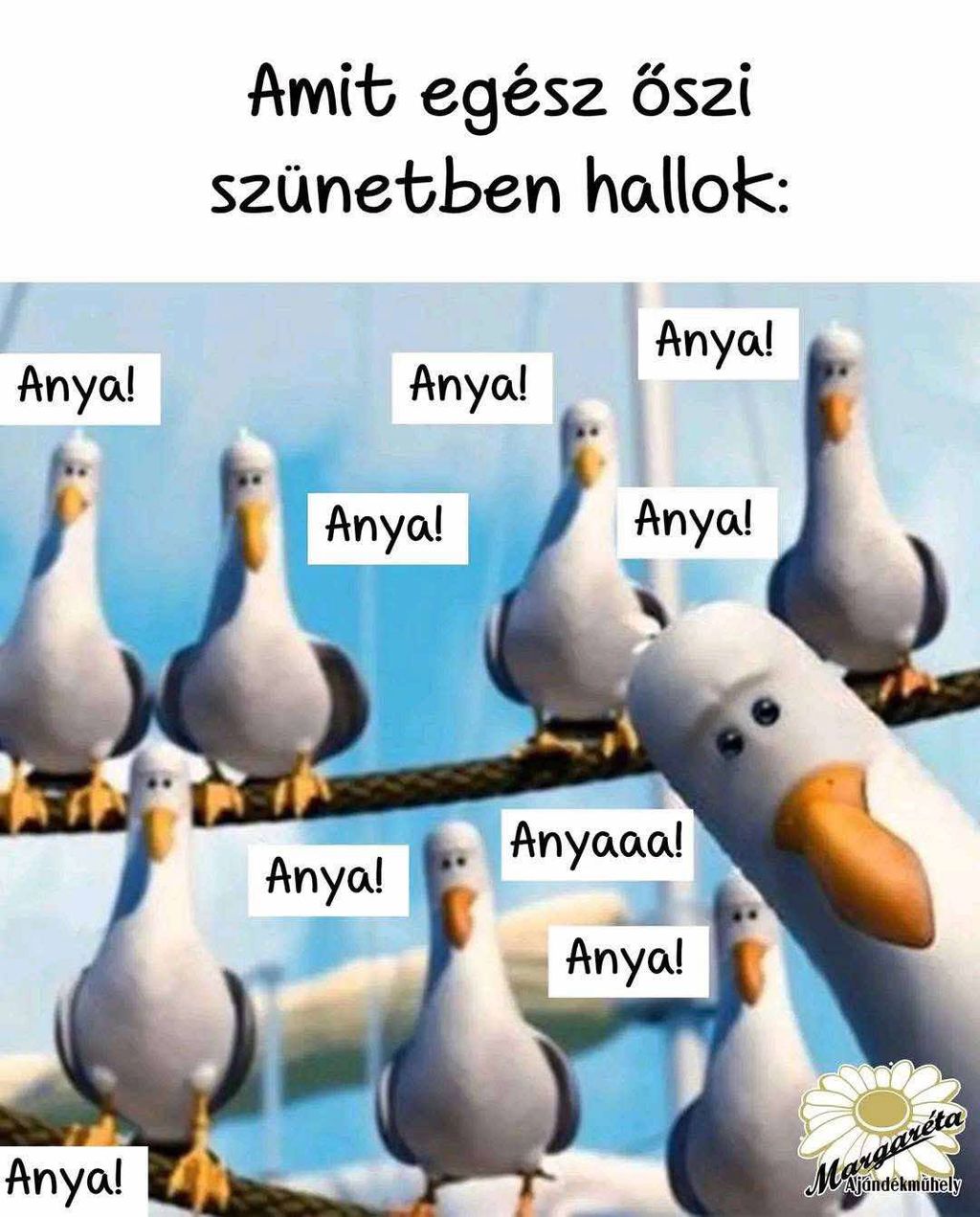Top 10 legjobb mém olvasóink megosztásából