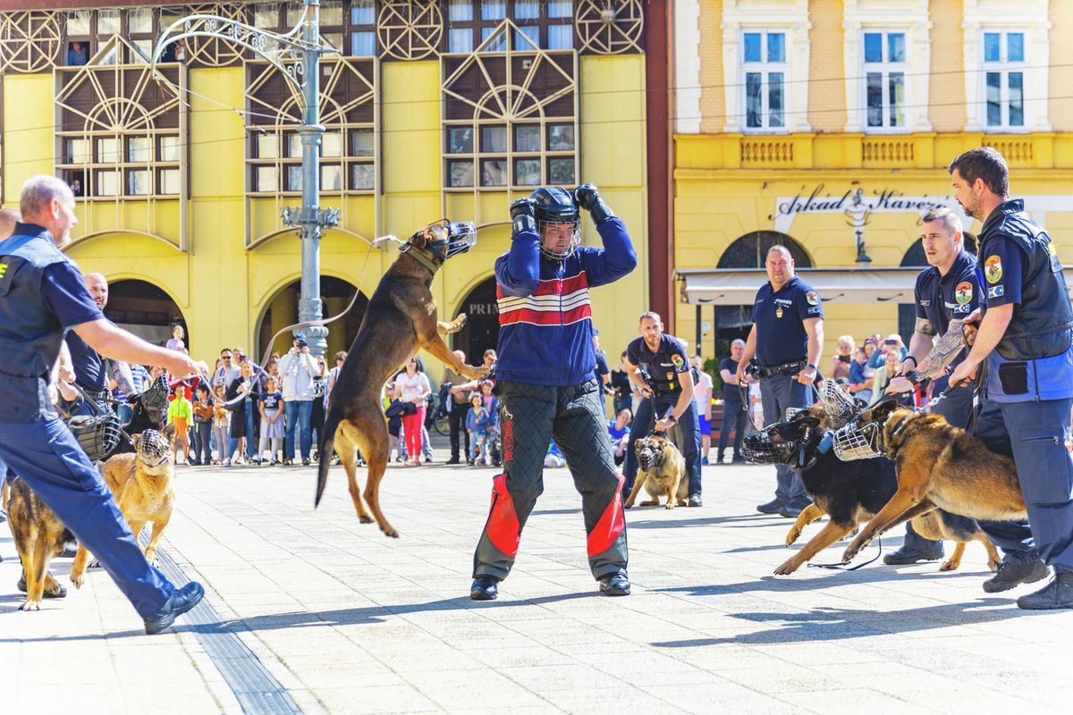 vármegyei rendőrnap, rendőrnap, debrecen, haon