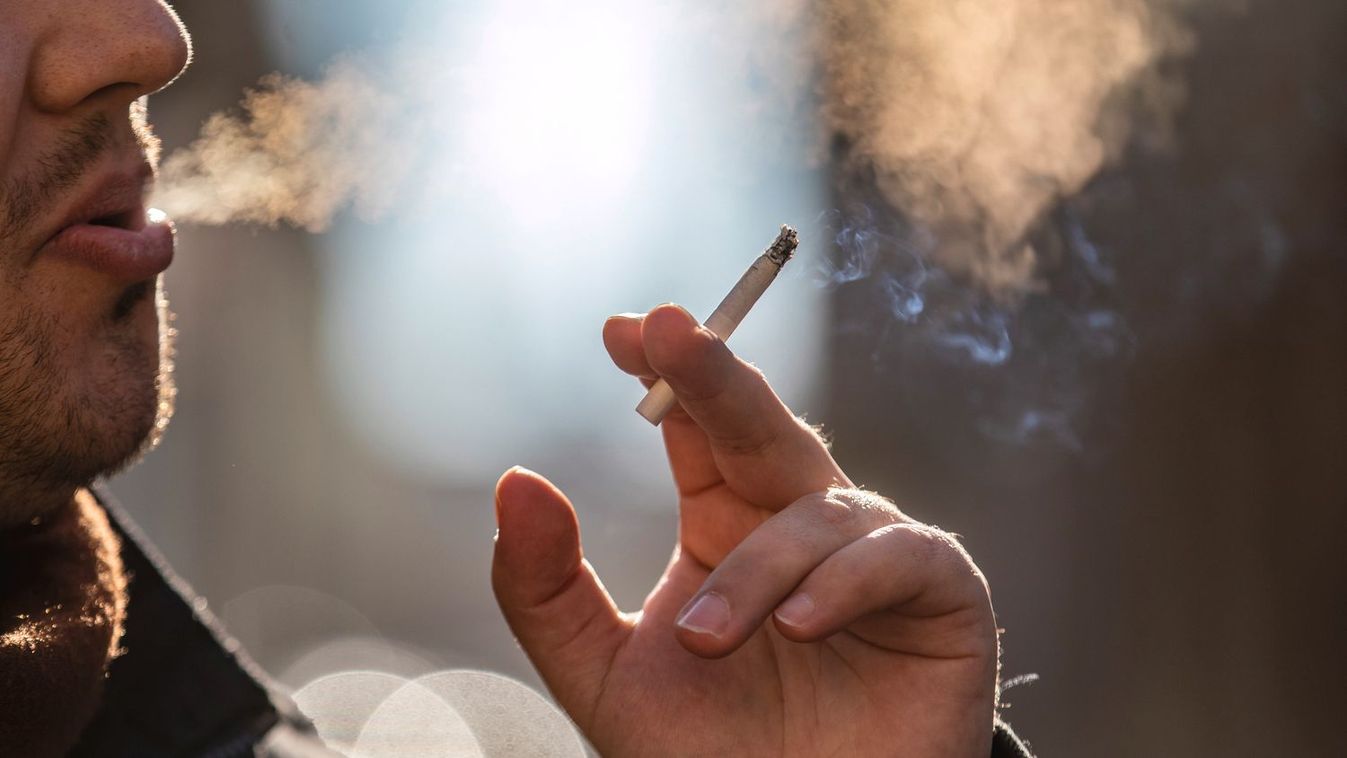 free cigarette coupons 2020 Newport Cigarette Coupons free cigarette coupons 2020 Newport Cigarette Coupons