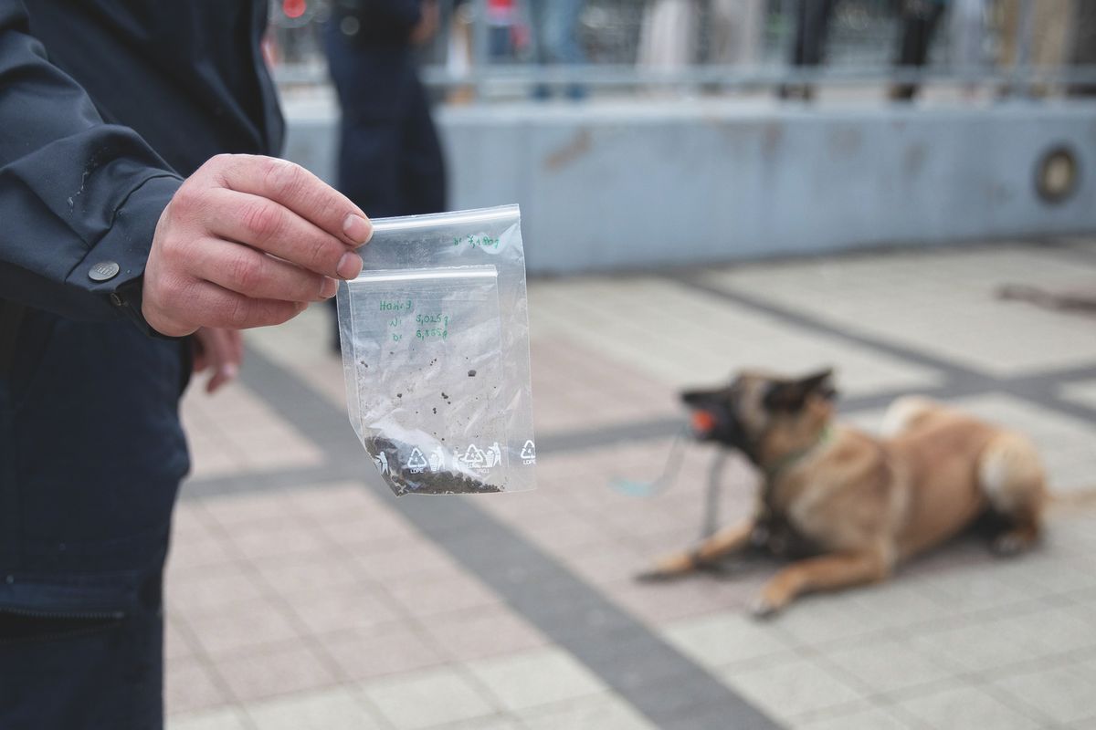 VMP20250326_rendőrkutyás_bemutató_drogprevenció_HAON (1)