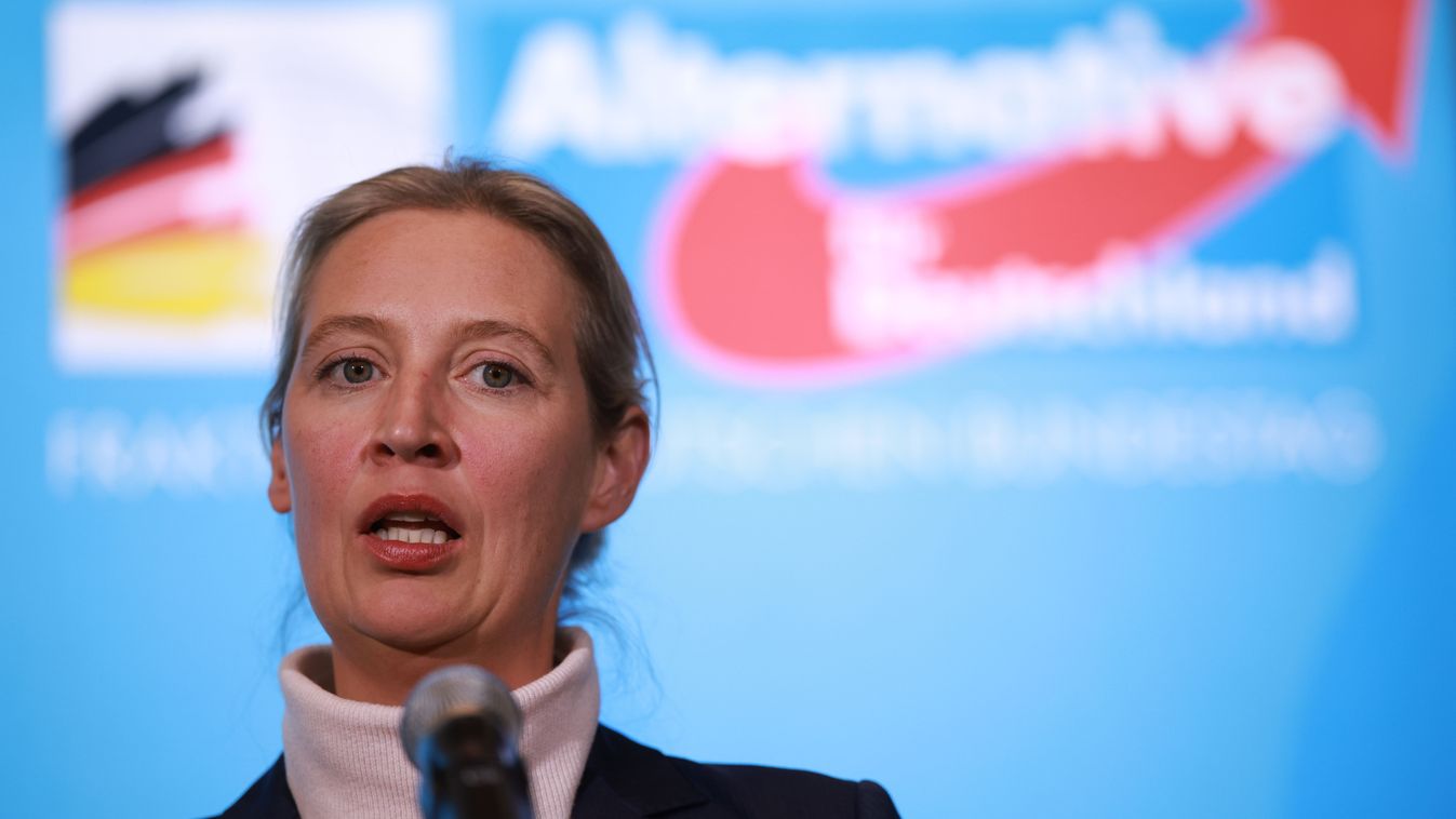 A német társadalom az oka az AfD erősödésének