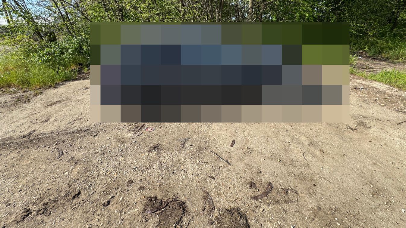 Nem hiányzik valakinek? Nem hiszed, el, mit hagytak el Hajdú-Biharban - fotókkal