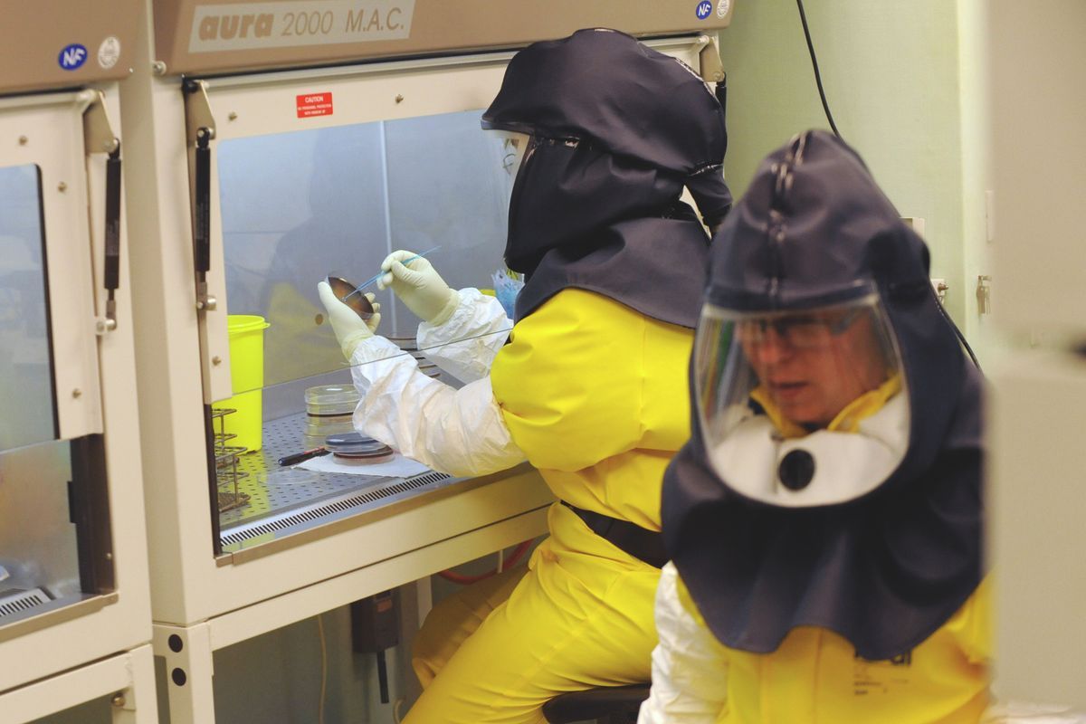 Laboratóriumi vizsgálat segítségével igazolták a madárinfluenza jelenlétét