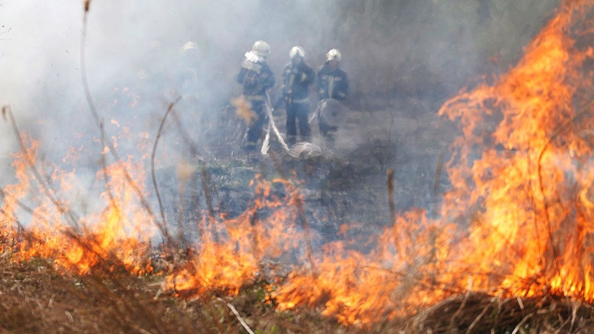 Tűz Hajdú-Biharban: mintegy húsz hektárnyi területen ég a nádas Egyek és Tiszafüred között