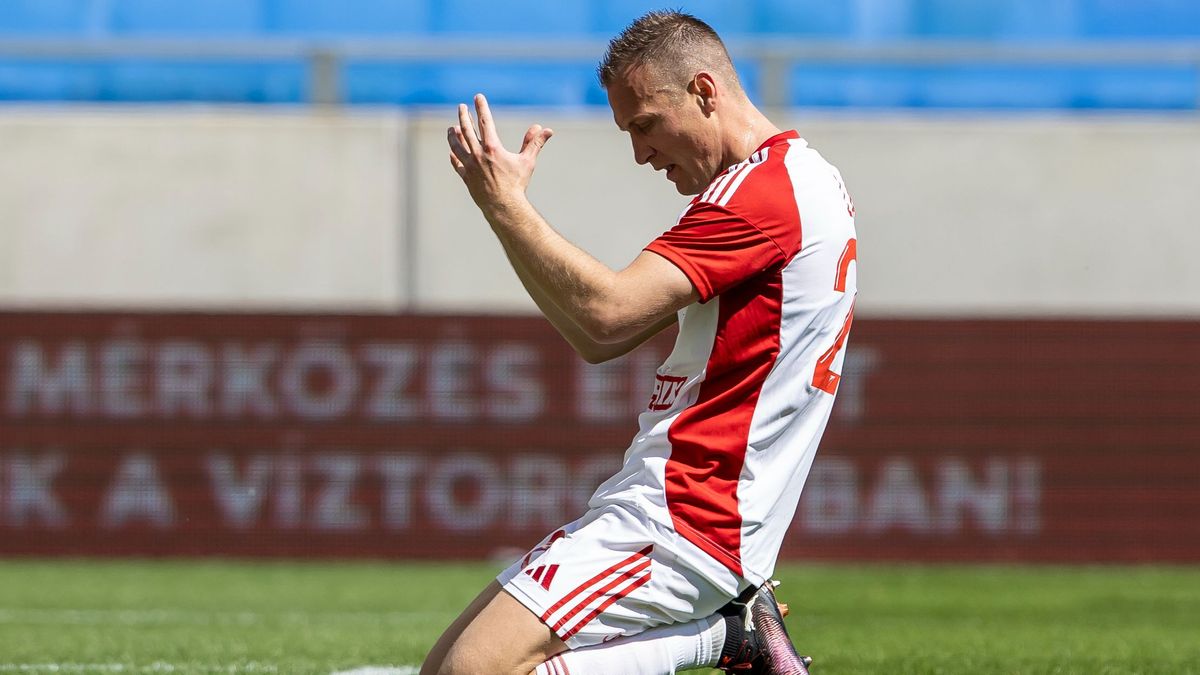lang ádám, dvsc