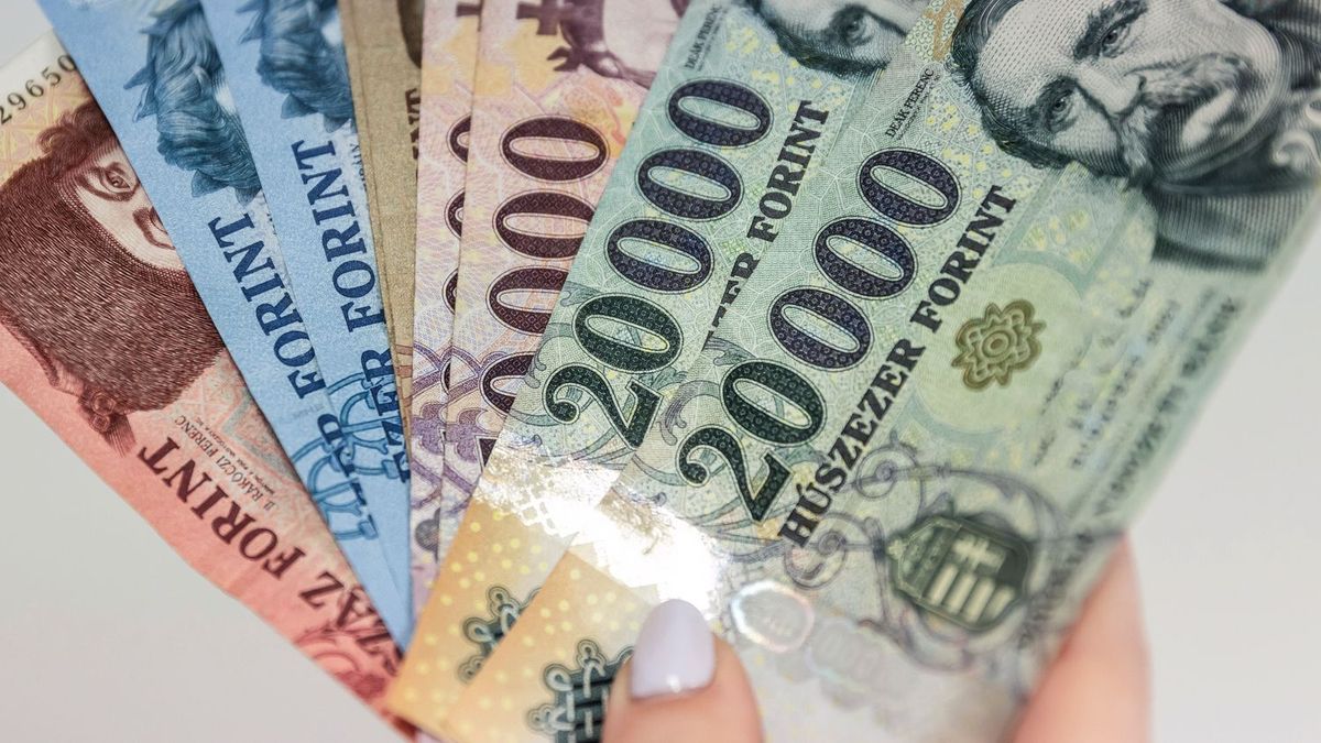 Hatalmas pénzeket húzott le férfiakról egy debreceni asszony