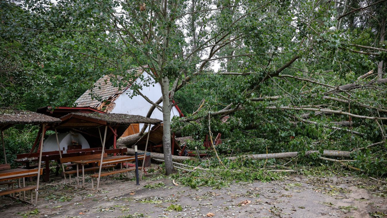 Miért ilyen hideg a tavasz? Megváltoztak az évszakok?
