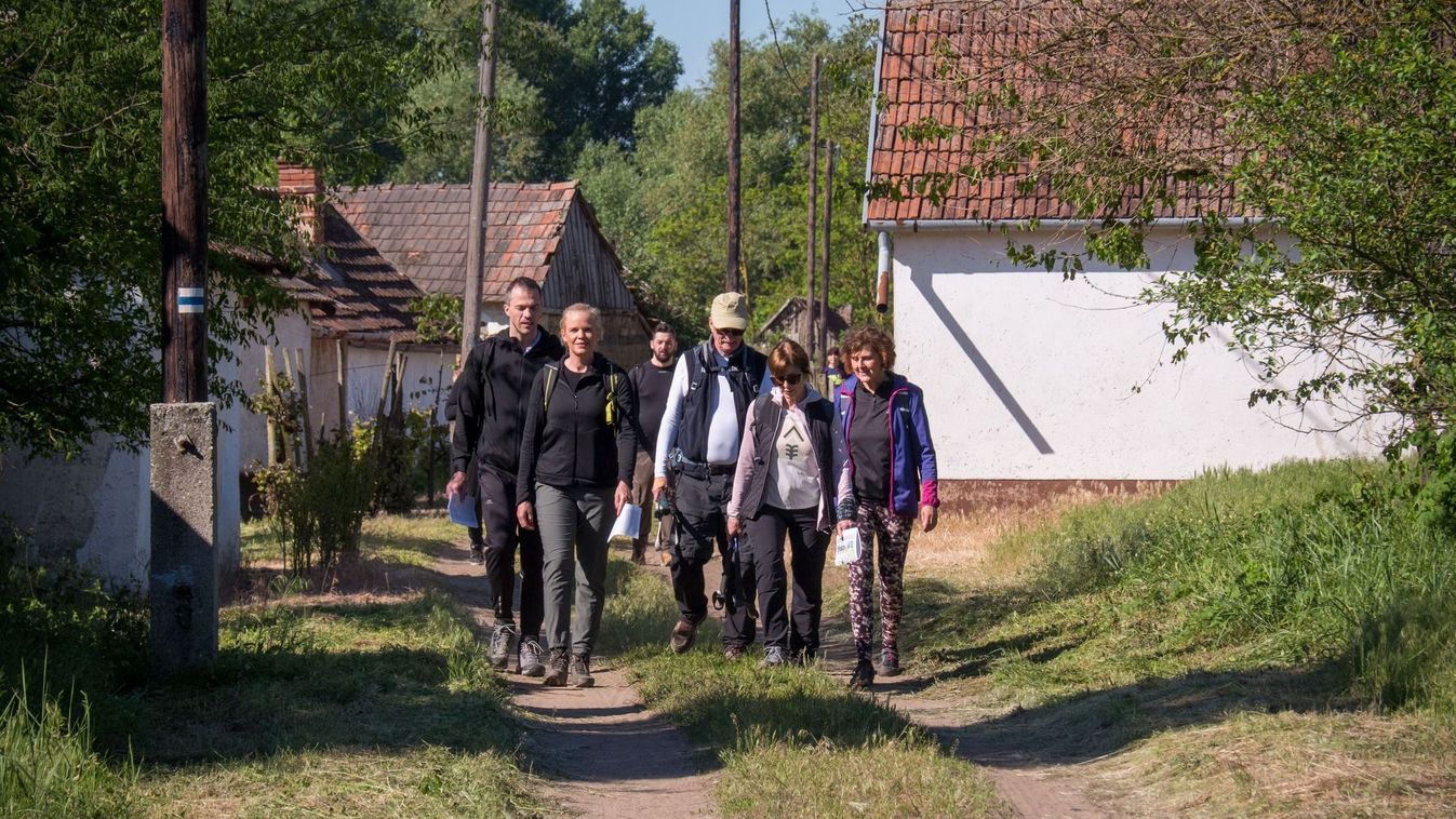 Két túranap az Erdőspusztán: Éjszakai kaland a lankákon, réteken