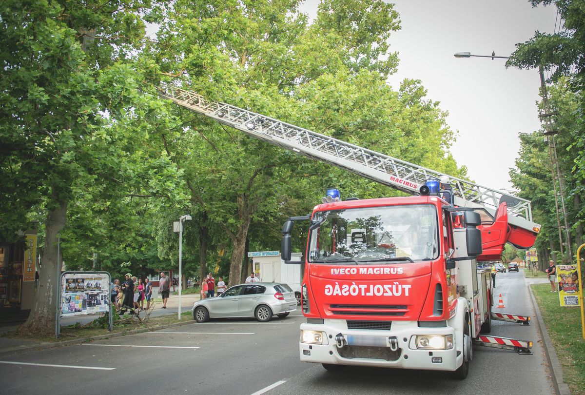 Megdőlt fa veszélyeztette a forgalmat Debrecen és Hajdúszovát között