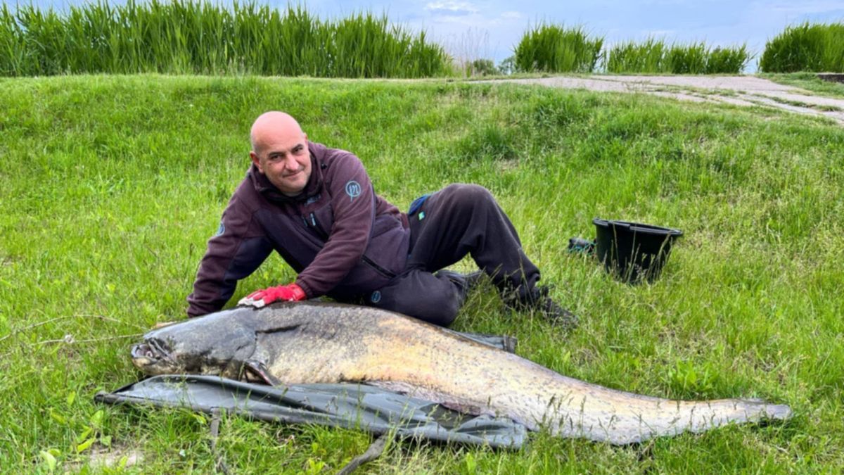 Kifogta a hajdú-bihari tó harcsakirályát Péterszegi László