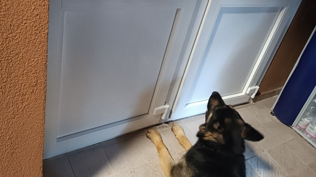 Balu és Lili szolgálati kutyák szimatolták ki mi is van az ajtó mögött