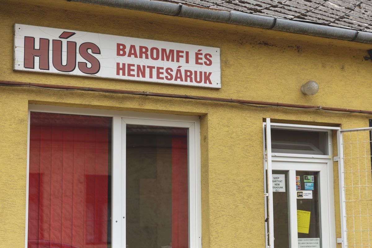 kisboltok támogatás