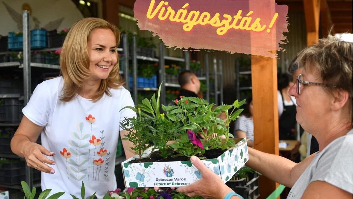 Indul a virágosztás Debrecenben!