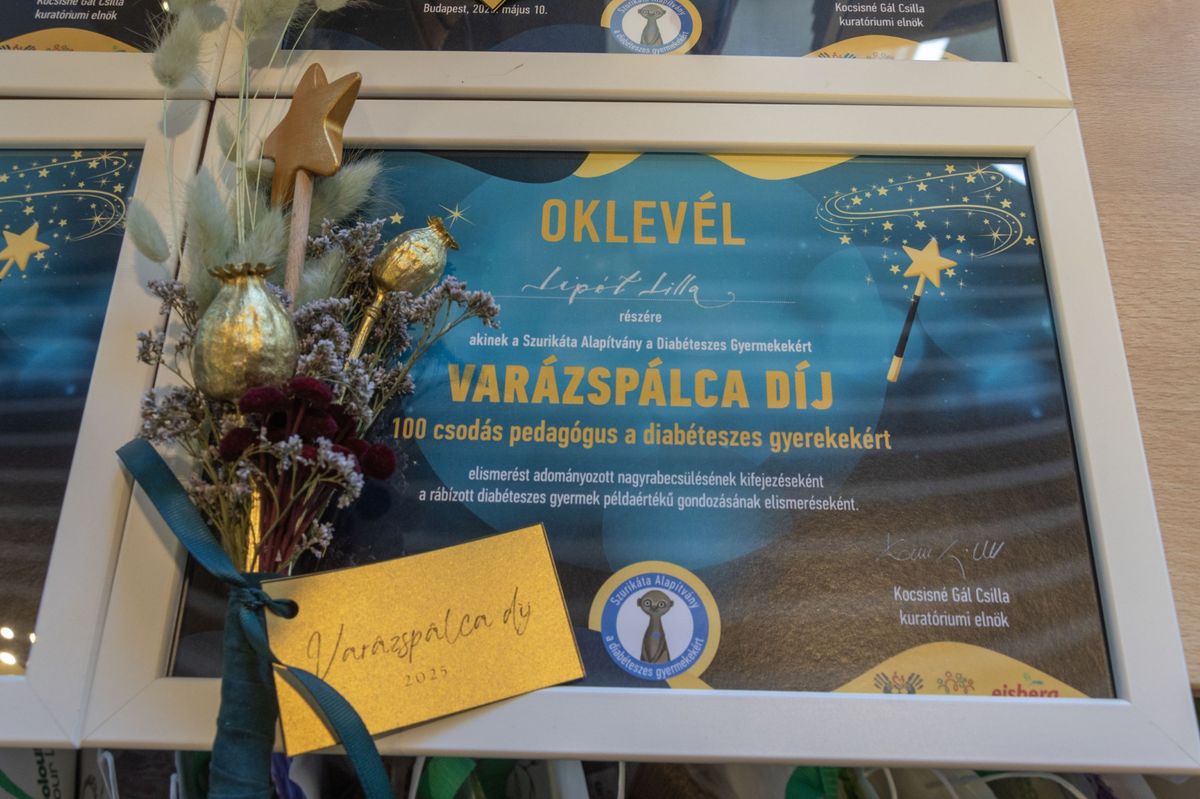Idén is százan részesültek Varázspálca díjban