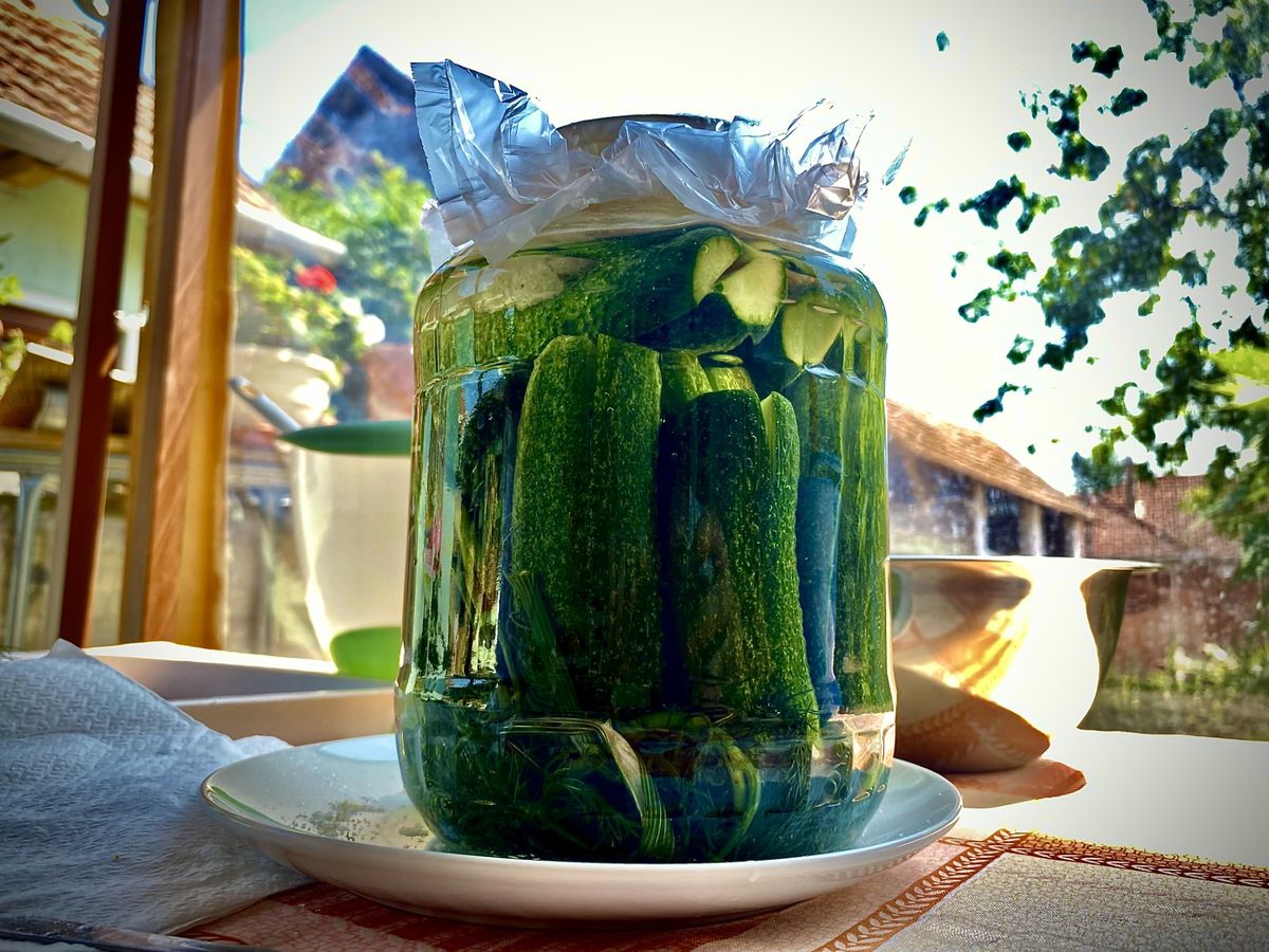 házi kovászos uborka, kovászos uborka, kovászos uborka recept, haon, hajdúböszörmény, debrecen