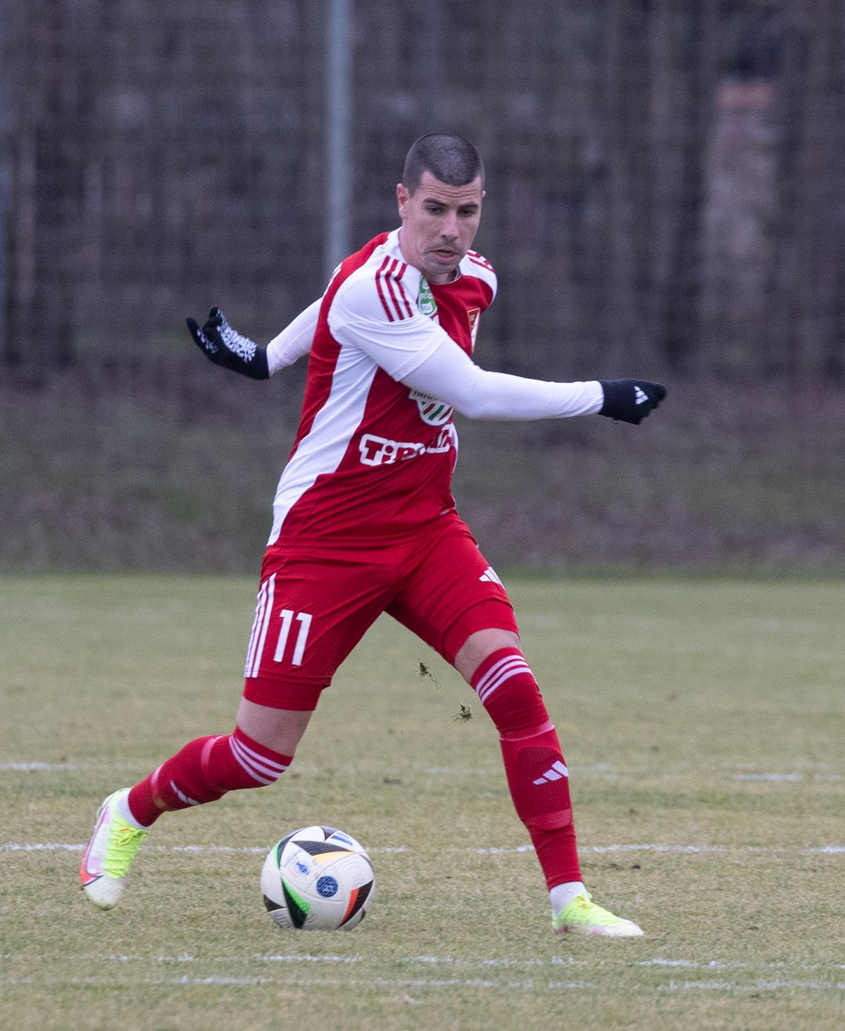 ferenczi jános, dvsc