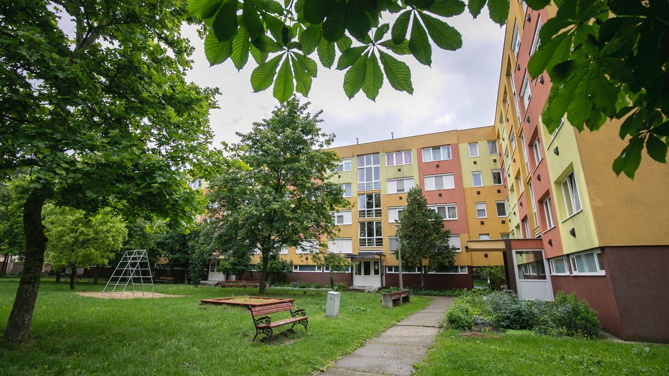 Durva bébibumm a böszörményi családoknál, nyílt utcán hangoskodik a 16 újszülött – fotókkal