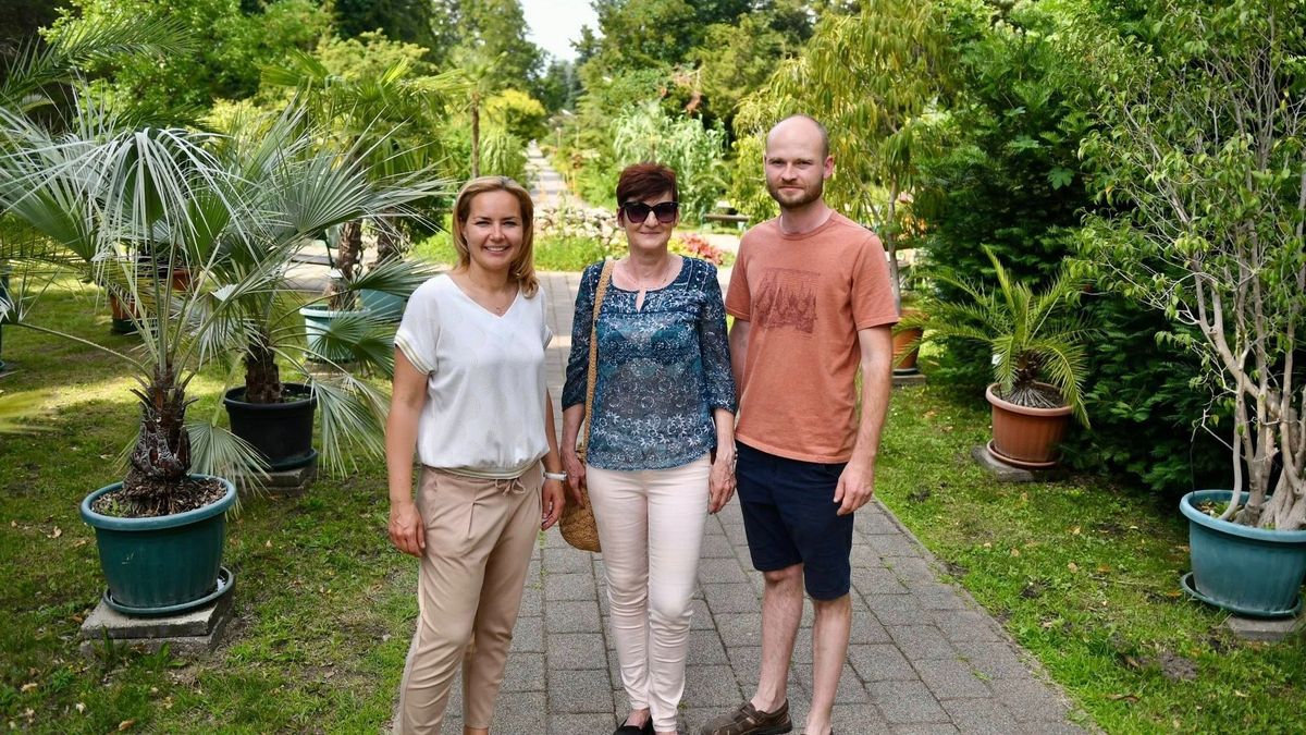 Levendula labirintus épül Debrecenben