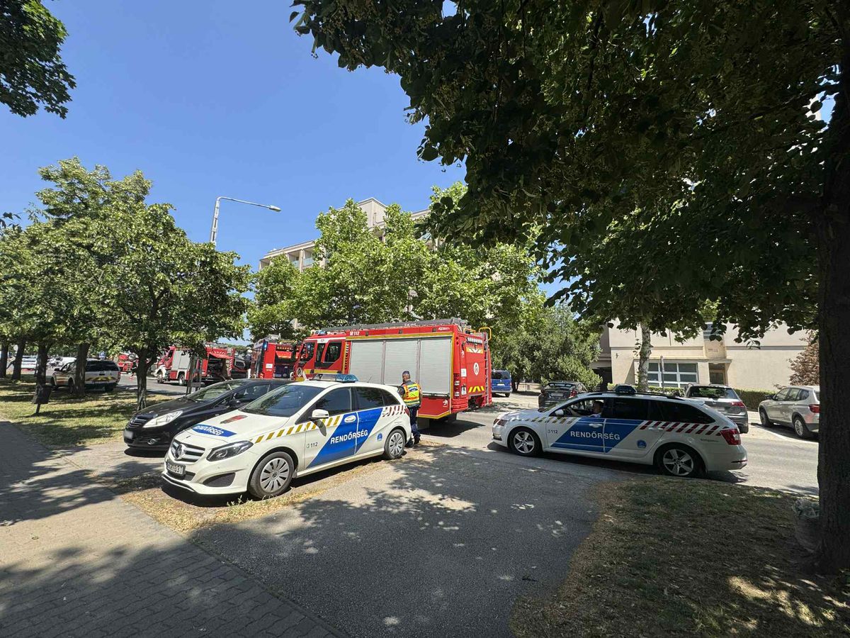 Nagy erőkkel vonultak a tűzoltók a tűzhöz Hajdúszoboszlóra