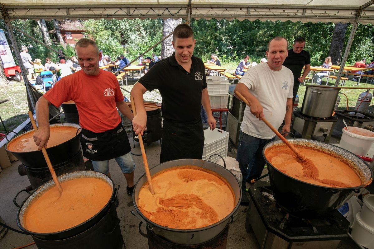 CM20230902_Tiszacsege_Harcsafesztivál_főzőverseny_HAON (18)