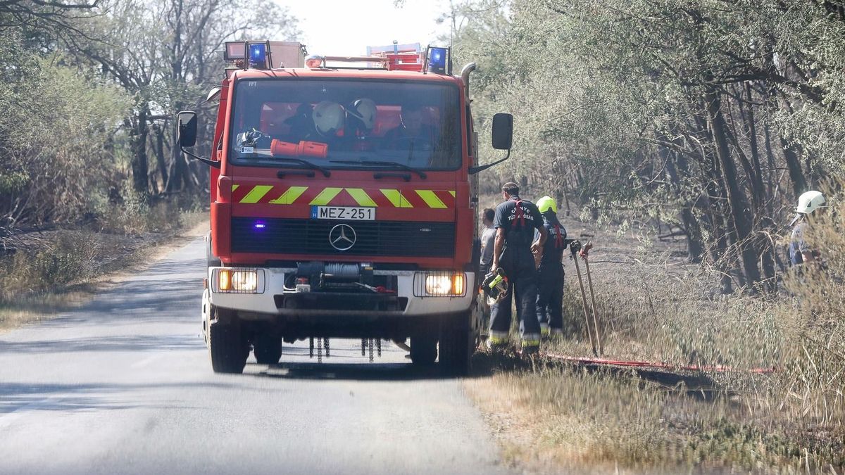 Rengeteg tűzesethez riasztották a tűzoltókat pénteken