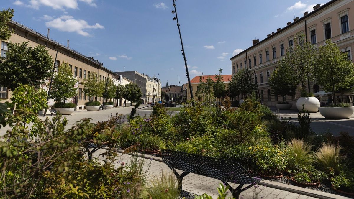 Bezár Debrecen belvárosának egyik legikonikusabb boltja, nehéz lesz a búcsúzás...