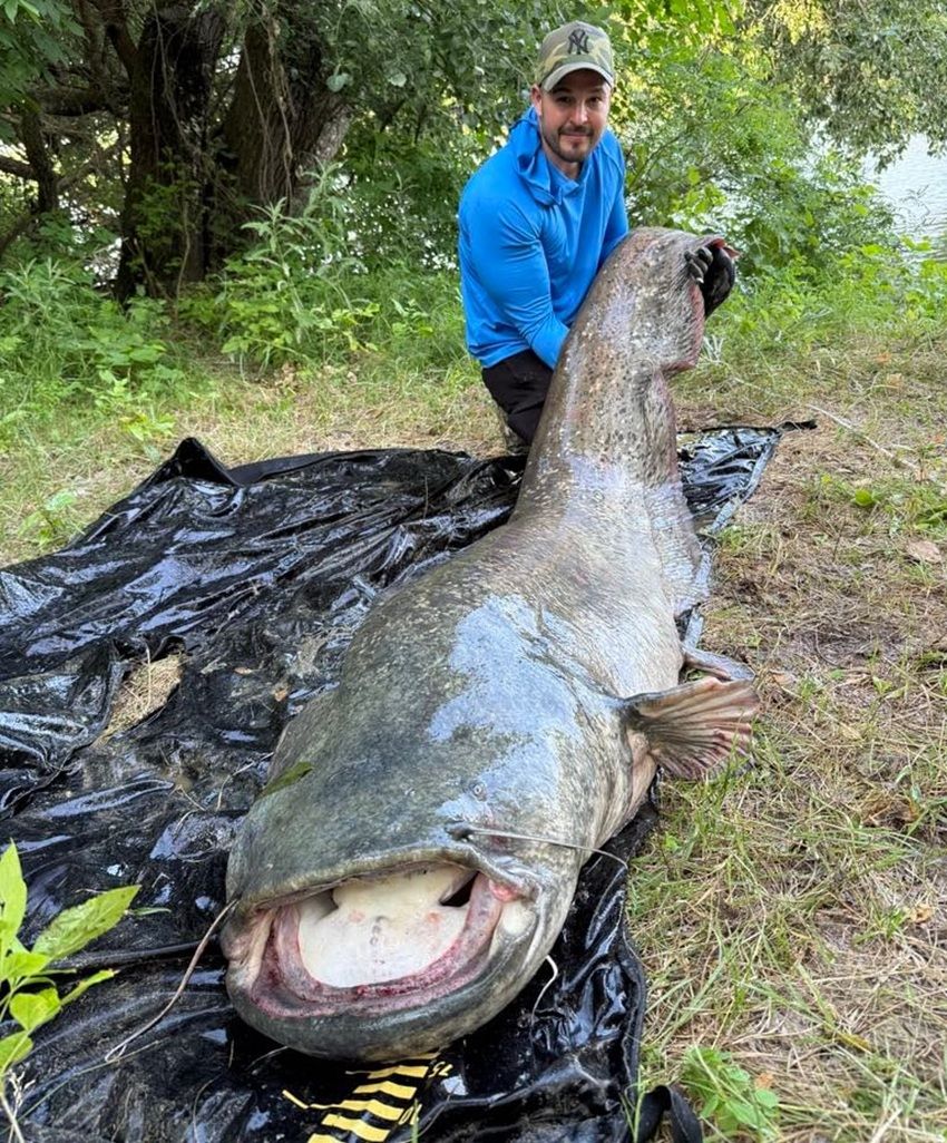 Óriási harcsa akadt Hornyák Balázs horgára