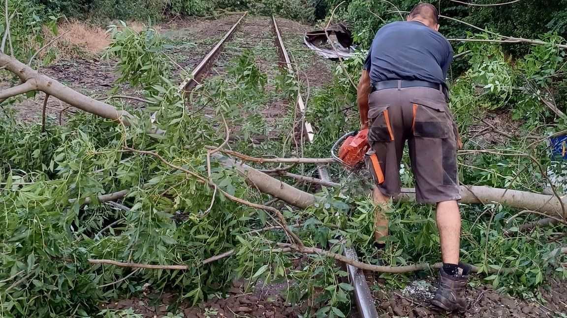 A vonatsínre dőlt egy Sárrétudvarinál a vihar miatt