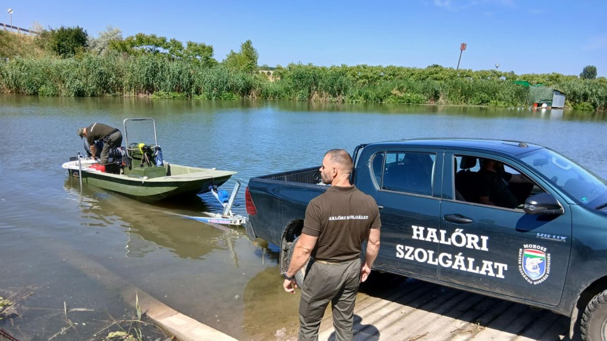 Új sólyapályákat adtak át a Keleti-főcsatorna több szakaszán is