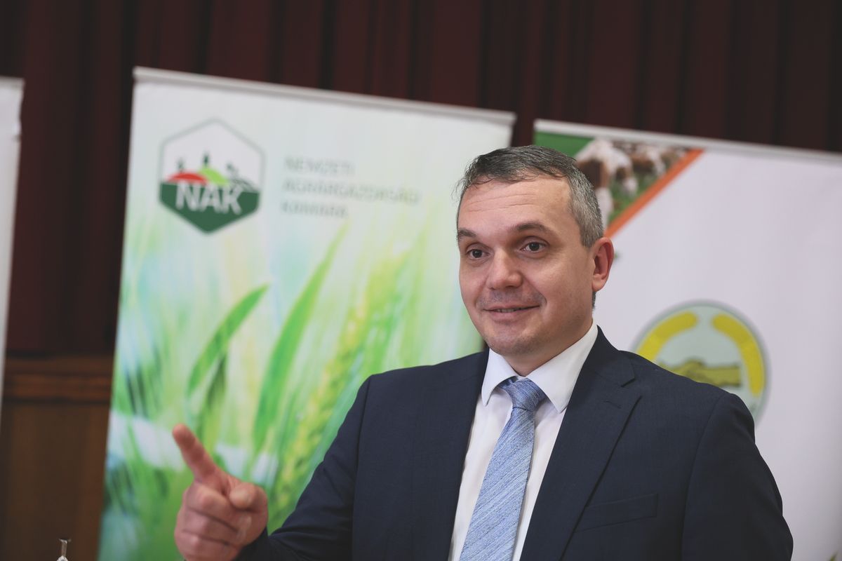 Papp Zsolt György lehet Tiba István utódja
